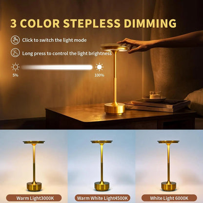 ✨LUXURY CORDLESS TABLE LAMP✨