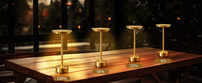 ✨LUXURY CORDLESS TABLE LAMP✨